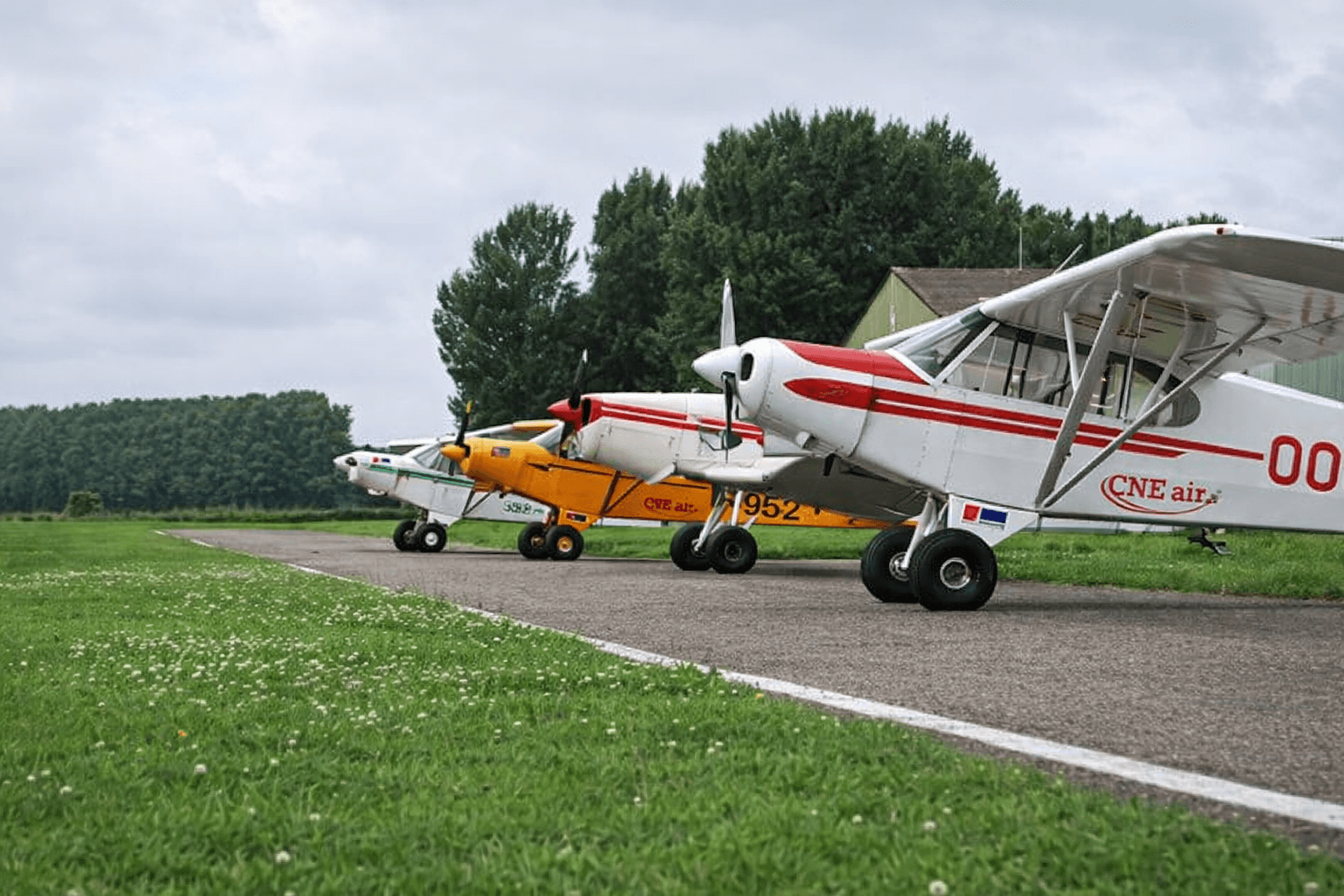 Rij kleine sportvliegtuigen met CNE air-belettering, registratietekens en gekleurde striping op de romp, opgesteld op een taxibaan naast een grasveld.